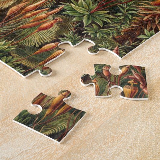 Haeckel Muscinae Legpuzzel (Zijkant)