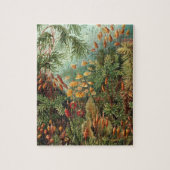 Haeckel Muscinae Legpuzzel (Verticaal)