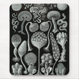 Haeckel negatief muismat