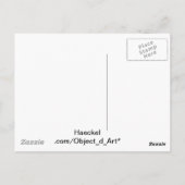 Haeckel Negative Briefkaart (Achterkant)