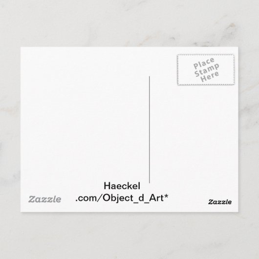 Haeckel Negative Briefkaart (Achterkant)