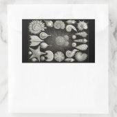 Haeckel Negative Rechthoekige Sticker (Tas)