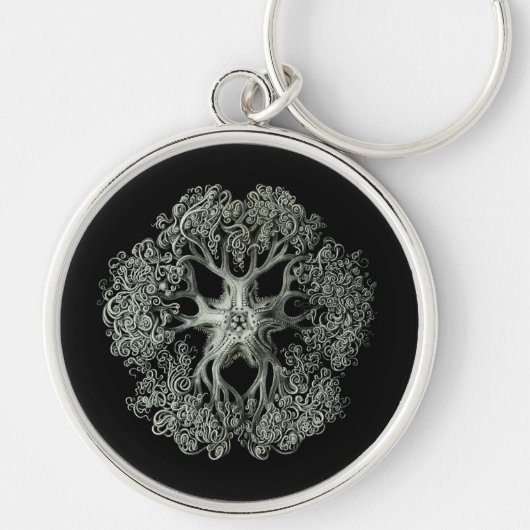 Haeckel Negative Sleutelhanger (Voorkant)