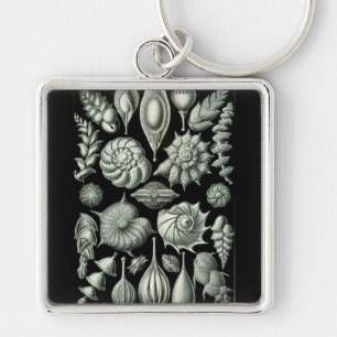 Haeckel Negative Sleutelhanger