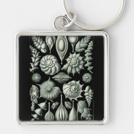 Haeckel Negative Sleutelhanger (Voorkant)