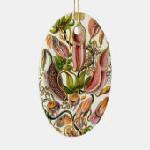 Haeckel Nepenthaceae Keramisch Ornament (Rechts)