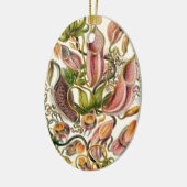 Haeckel Nepenthaceae Keramisch Ornament (Links)