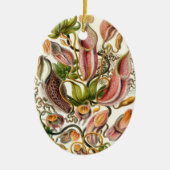 Haeckel Nepenthaceae Keramisch Ornament (Voorkant)