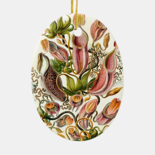 Haeckel Nepenthaceae Keramisch Ornament (Achterkant)