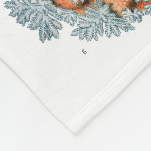 Haeckel Nudibranchia Fleece Blanket (Hoek)