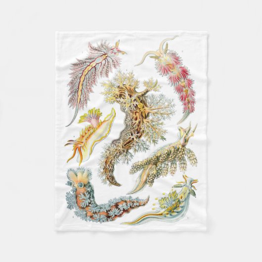 Haeckel Nudibranchia Fleece Blanket Deken (Voorkant)
