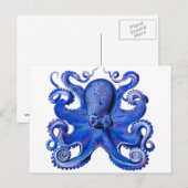 Haeckel Octopus Blue Briefkaart (Voorkant / Achterkant)