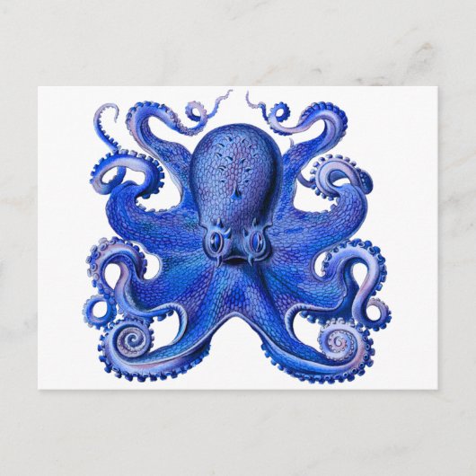 Haeckel Octopus Blue Briefkaart (Voorkant)