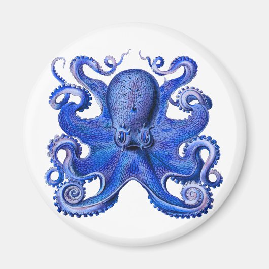 Haeckel Octopus Blue Magneet (Voorkant)