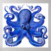 Haeckel Octopus Blue Poster (Voorkant)