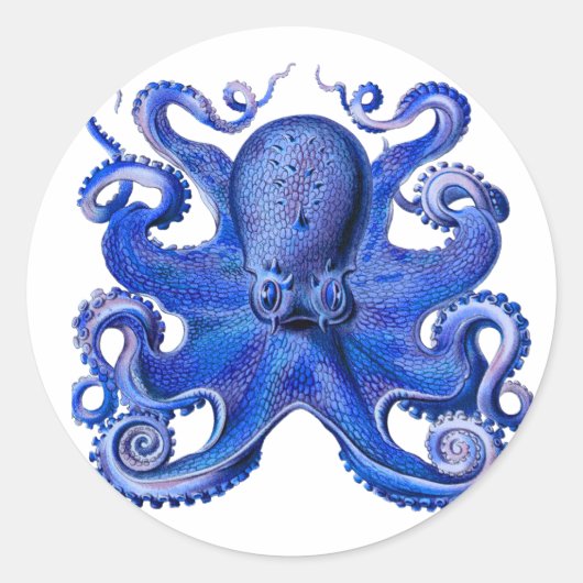 Haeckel Octopus Blue Ronde Sticker (Voorkant)