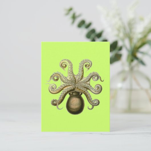 Haeckel Octopus Briefkaart (Staand voorkant)