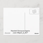 Haeckel Octopus Briefkaart (Achterkant)
