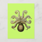 Haeckel Octopus Briefkaart (Voorkant)