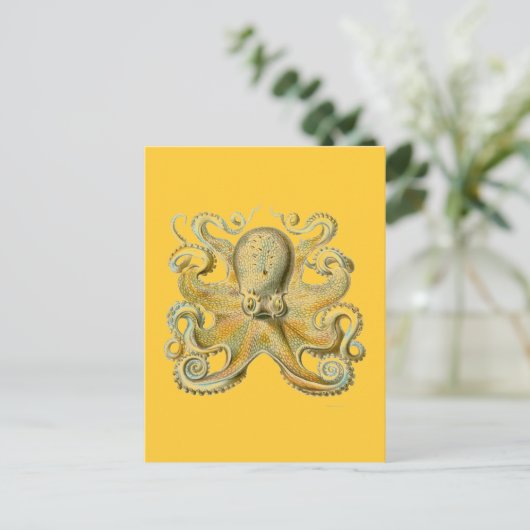 Haeckel Octopus Briefkaart (Staand voorkant)