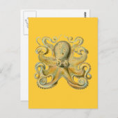 Haeckel Octopus Briefkaart (Voorkant / Achterkant)