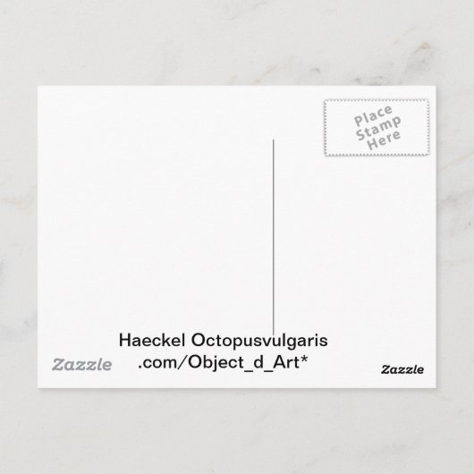 Haeckel Octopus Briefkaart (Achterkant)