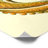 Haeckel Octopus Diptych I Poster (Hoek)