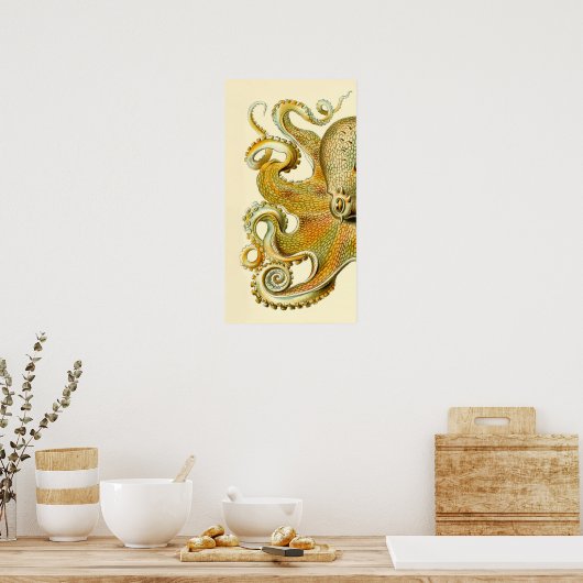 Haeckel Octopus Diptych II Poster (Keuken)