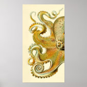 Haeckel Octopus Diptych II Poster (Voorkant)