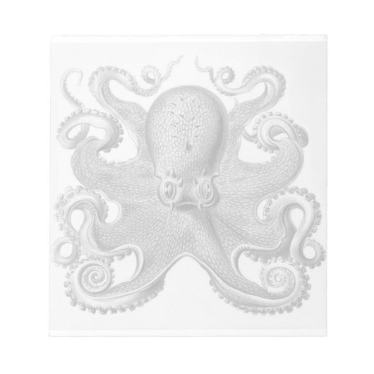 Haeckel Octopus Notitieblok (Voorkant)