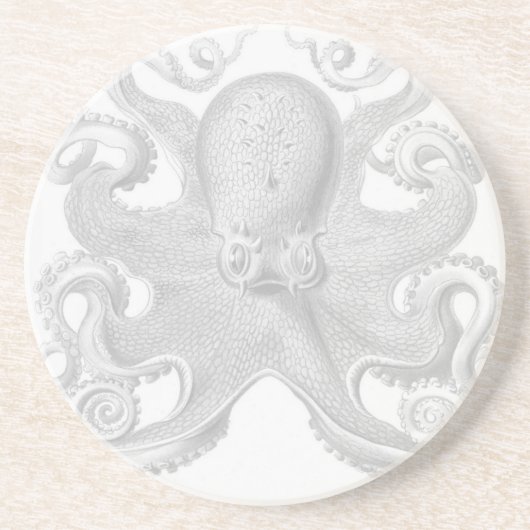 Haeckel Octopus Onderzetter (Voorkant)