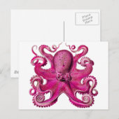 Haeckel Octopus Pink Briefkaart (Voorkant / Achterkant)