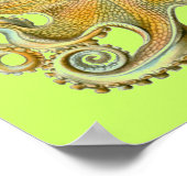 Haeckel Octopus Poster (Hoek)