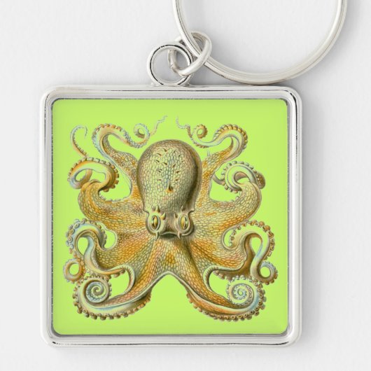 Haeckel Octopus Sleutelhanger (Voorkant)