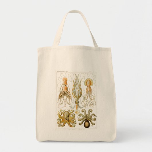 Haeckel Octopus Tote Bag (Voorkant)