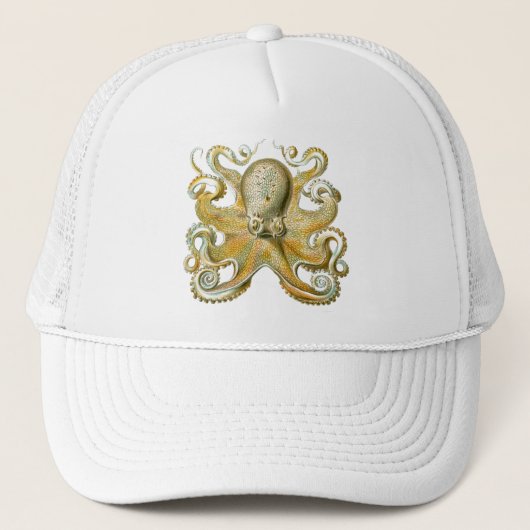 Haeckel Octopus Trucker Pet (Voorkant)