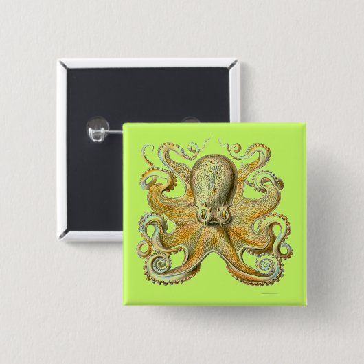 Haeckel Octopus Vierkante Button 5,1 Cm (Voorkant /achterkant)