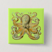 Haeckel Octopus Vierkante Button 5,1 Cm (Voorkant)