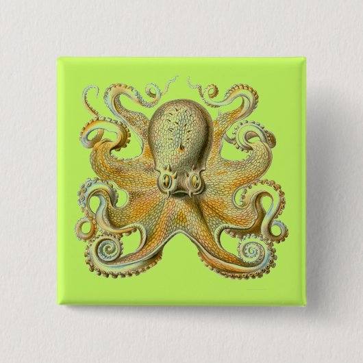 Haeckel Octopus Vierkante Button 5,1 Cm (Voorkant)