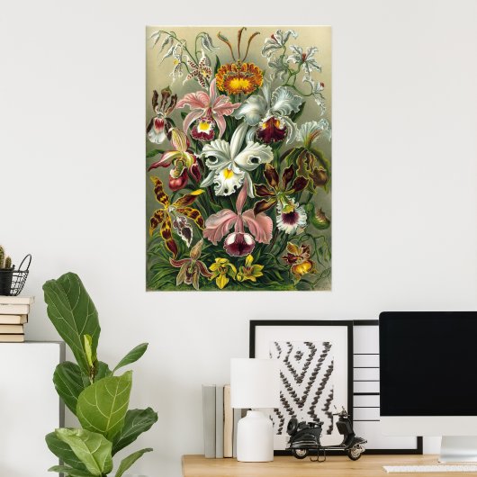 Haeckel Orchids Poster (Thuiskantoor)