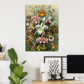Haeckel Orchids Print (Thuiskantoor)