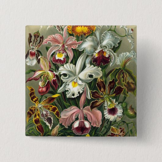 Haeckel Orchids Vierkante Button 5,1 Cm (Voorkant)