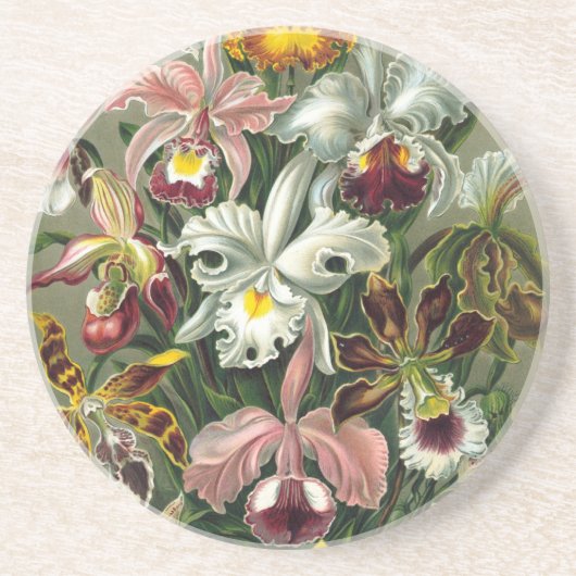 Haeckel Orchids Zandsteen Onderzetter (Voorkant)