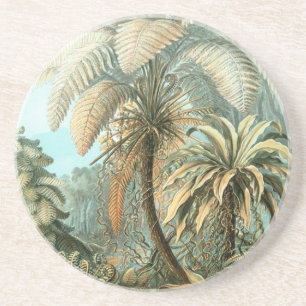 Haeckel Palm Trees Zandsteen Onderzetter