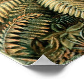 Haeckel Palmboom Poster (Hoek)