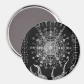 Haeckel Phaeodaria Magneet (Voorkant / Achterkant)