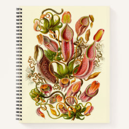 Haeckel Pitcher Plant Illustratie Notitieboek