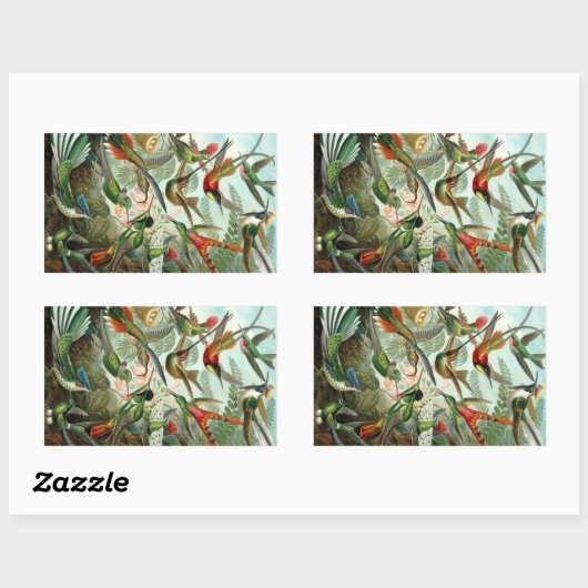 Haeckel Rechthoekige Sticker (Vel)