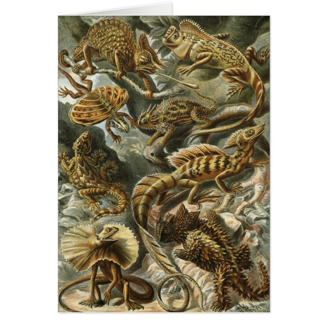 Haeckel Reptiles (Voorkant)