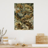 Haeckel Reptiles Poster (Keuken)